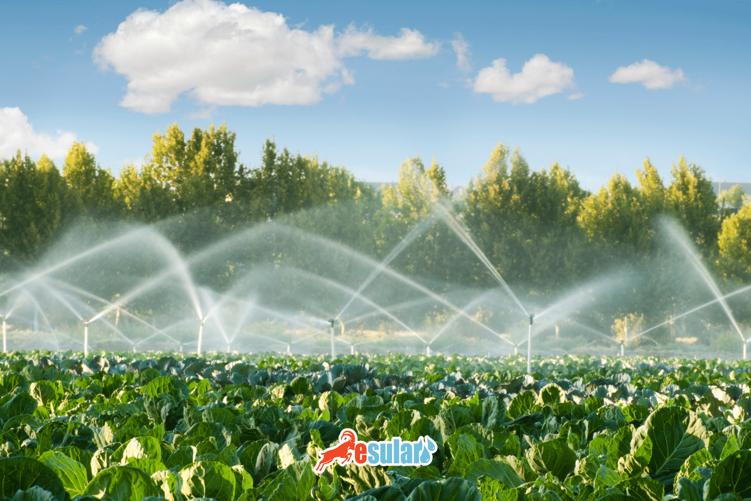 Agricultural Irrigation