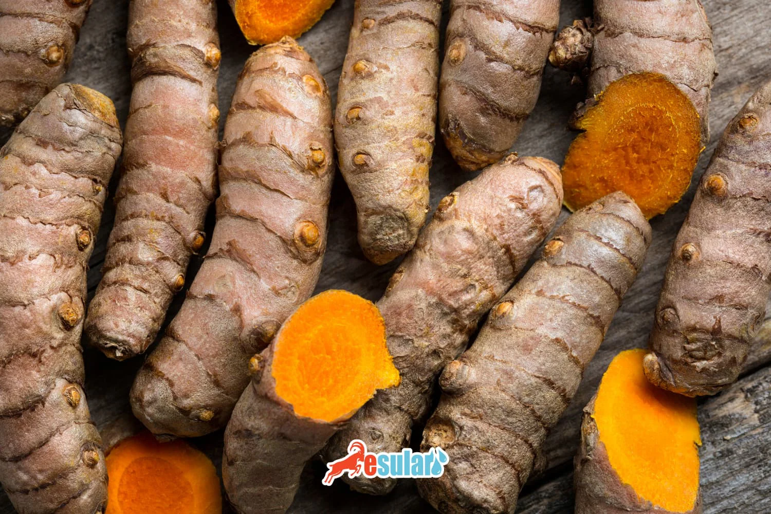 Zərdəçal Yetişdirilməsi Necə Həyata Keçirilir?