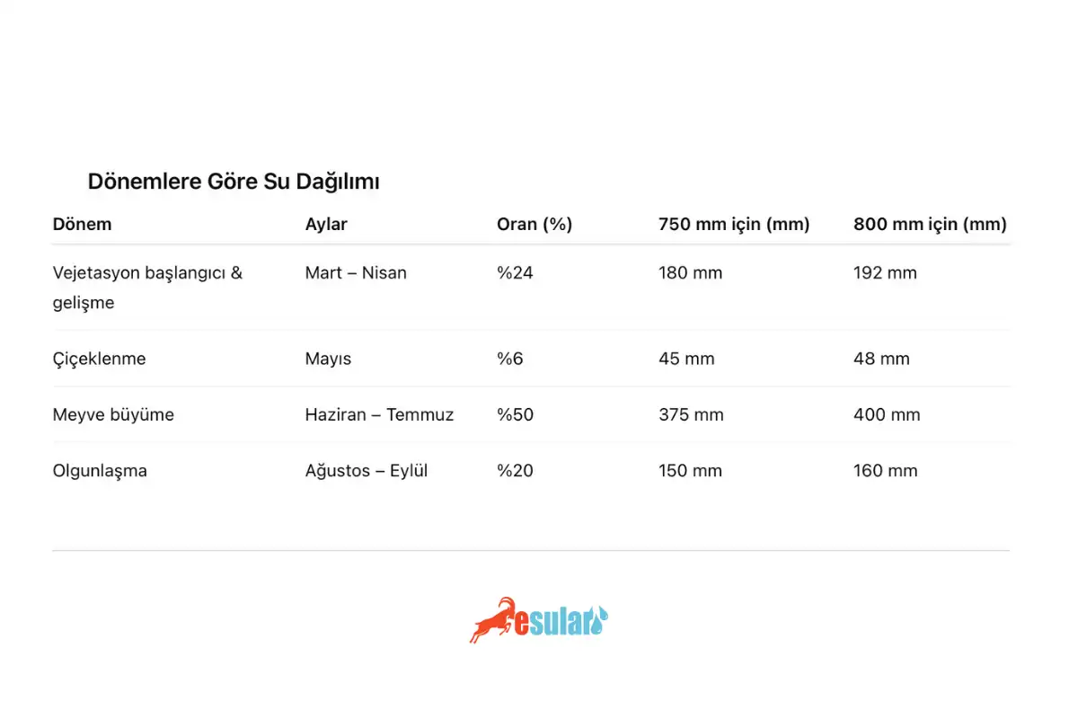 Zeytinliklerde akıllı sulama ve yağış yönetimi sistemi