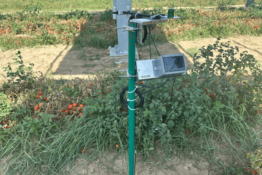 zirai-don-tahmini-esular