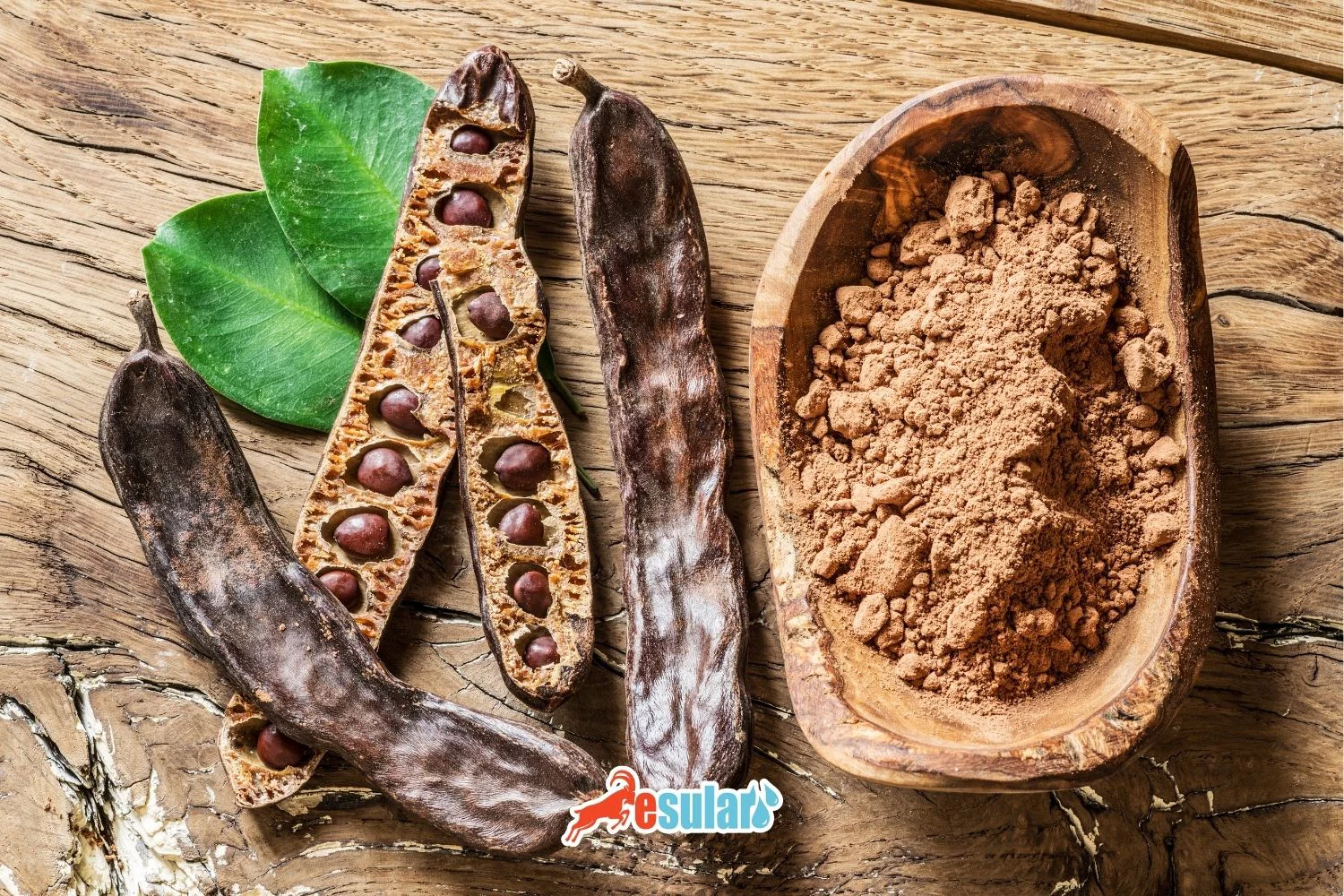 زراعة الخروب (Harnup)