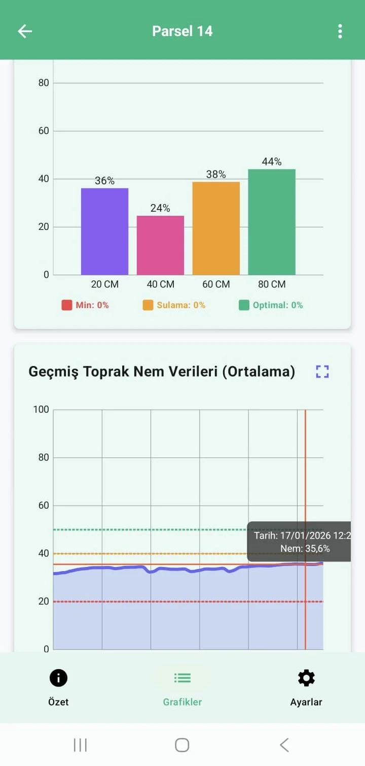 报告