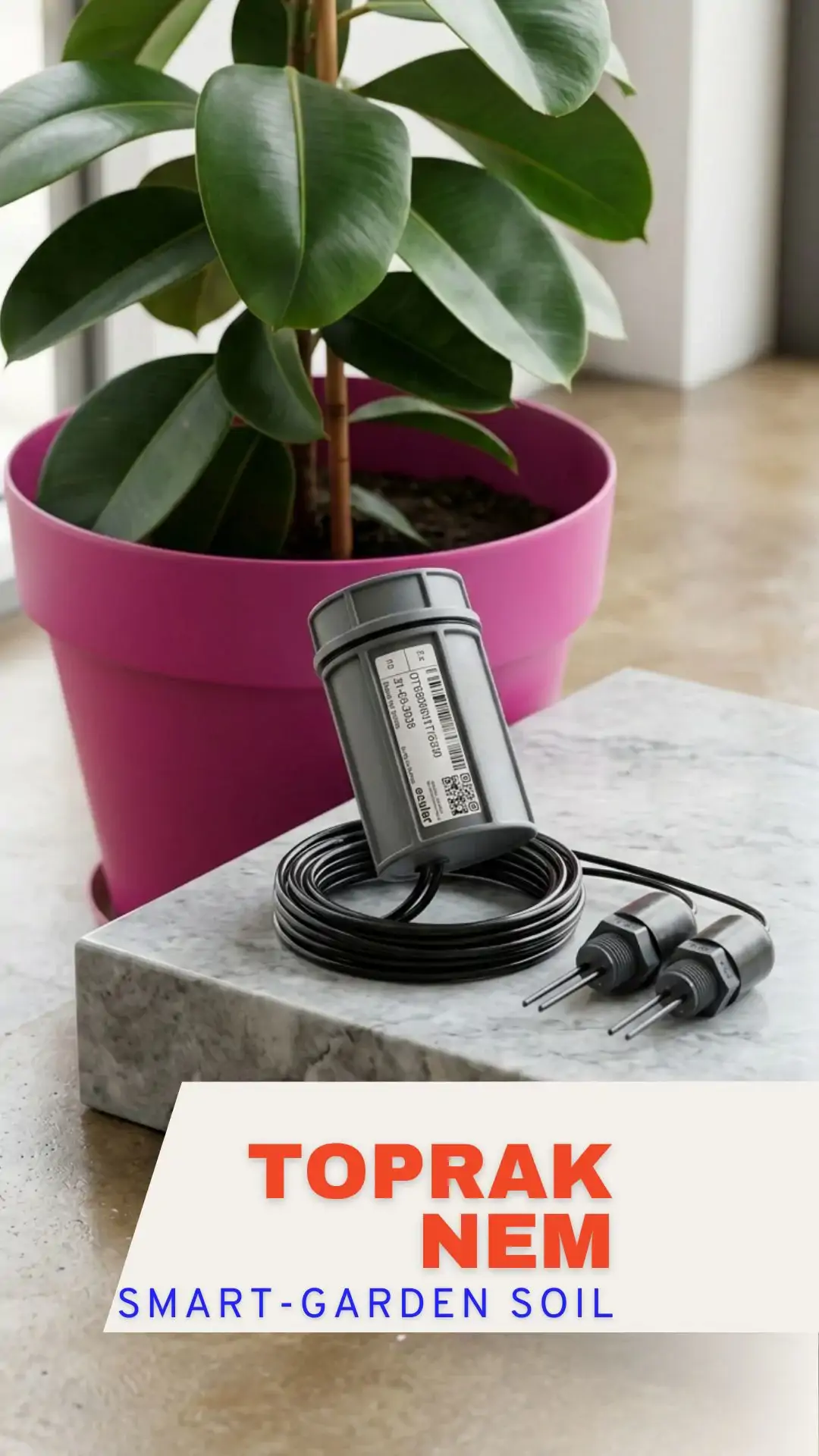 Smart-Garden sensör blueberry saksısında — substrat nem ve EC takibi