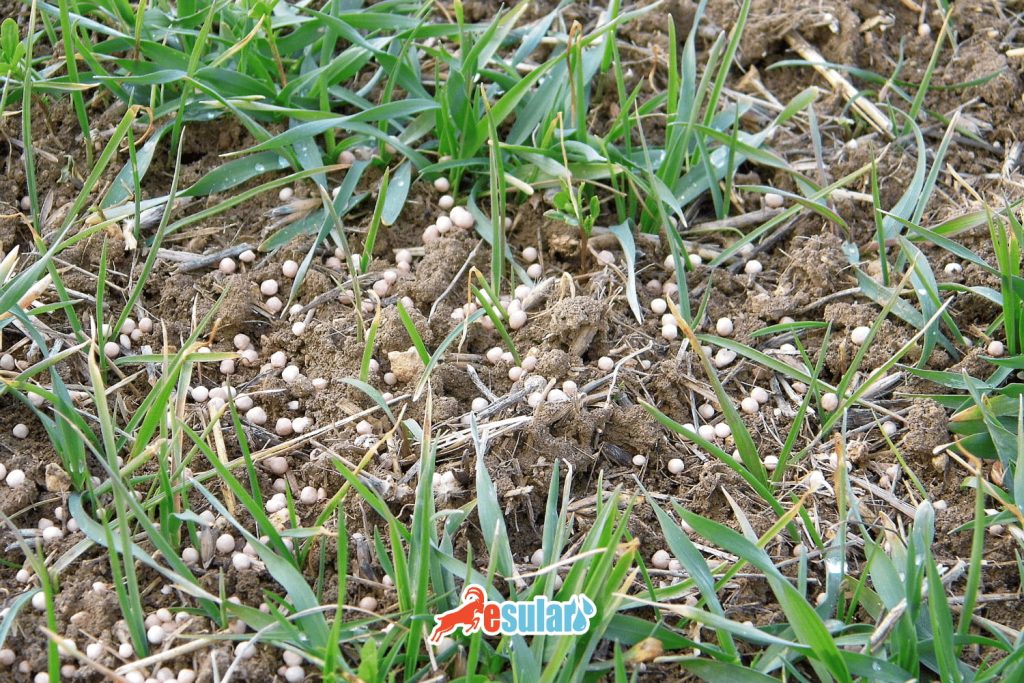 20-20-0 gubresi nedir