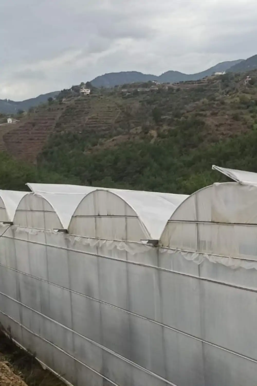 Sera Otomasyonu: Sirkülasyon Fan Kontrolü ve Nem Dengesi | Esular