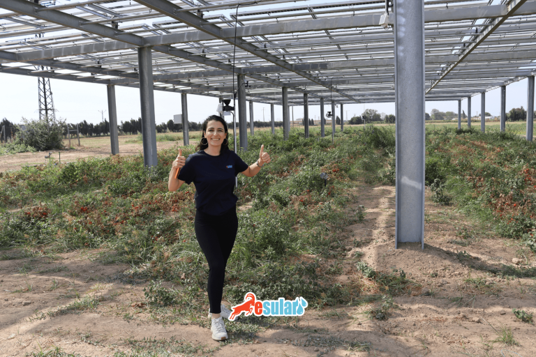 agripv-esularsayapar