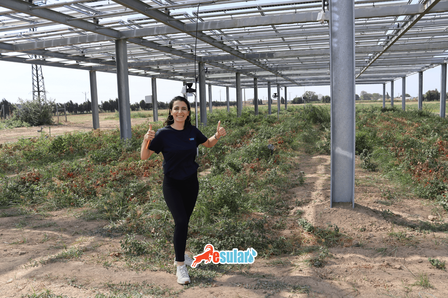 Dijital Tarım Çağında Akıllı Sulamanın Rolü | Esular Tarım Teknolojileri